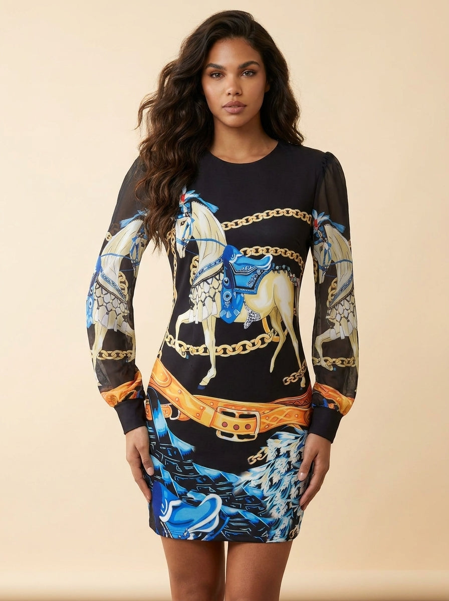 Shifon long Sleeve Dress